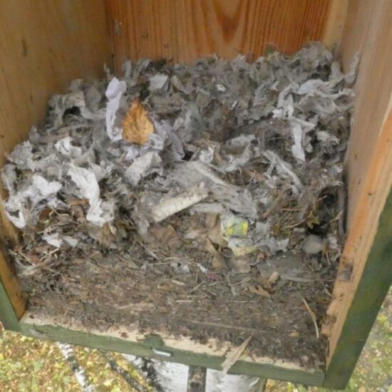 Ornitolog Artur Koliński - opinie ornitologiczne Warszawa