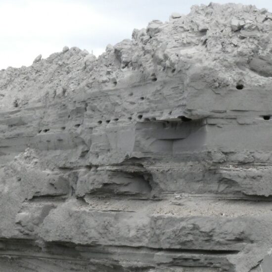 Ornitolog Artur Koliński - opinie ornitologiczne Warszawa